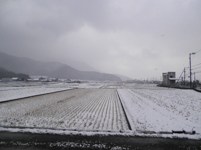 宇和の雪景色.jpg