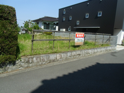 CIMG1520.jpg