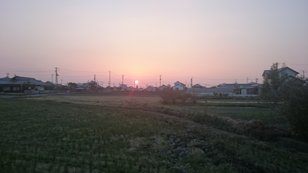 DSC_0083.JPG