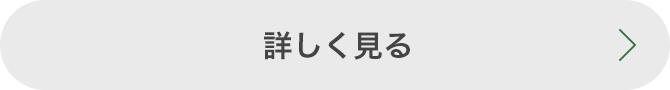 詳しく見る